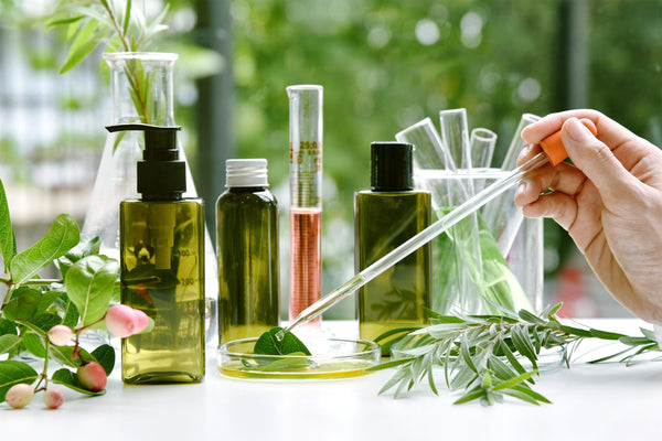 Top 7 Ingredients in Digestive Teas and How They Help Your Gut