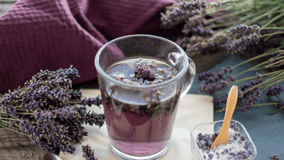 Incredible Benefits of Lavender Tea: A Soothing and Healing Brew