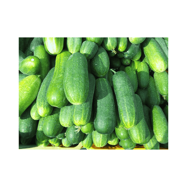 Are Cucumbers Good for Endometriosis?