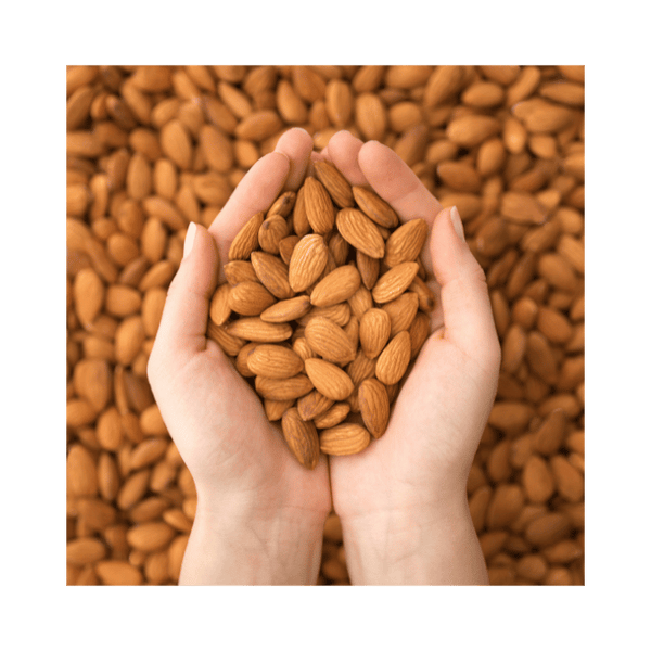 Are Almonds Good for Estrogen?