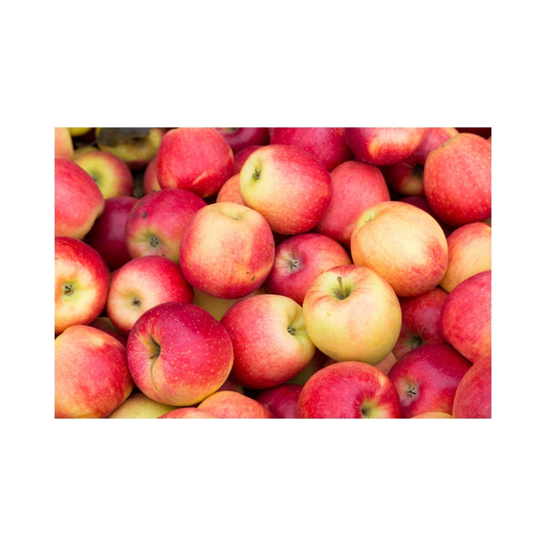 Are Apples Good for Estrogen?