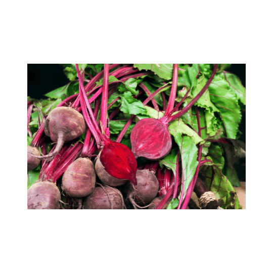 Are Beets Good for Estrogen?