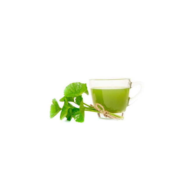 How Gotu Kola Promotes Hair Growth Naturally