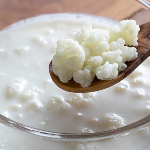 Is Kefir Good for Estrogen?