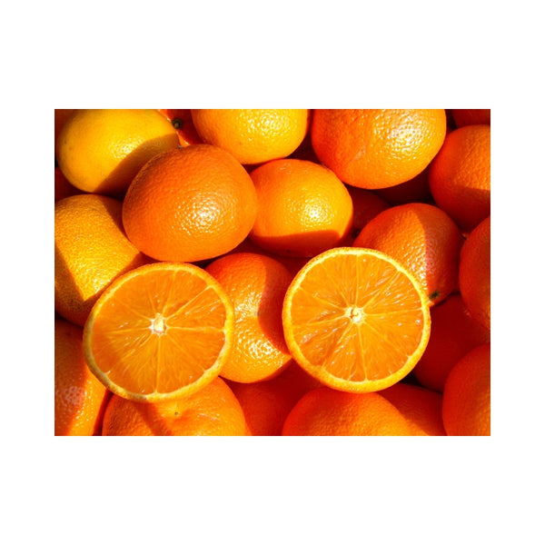 Are Oranges Good for Estrogen?