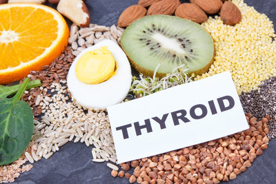 Top 10 Best Foods for Thyroid Balance You Need to Include in Your Diet