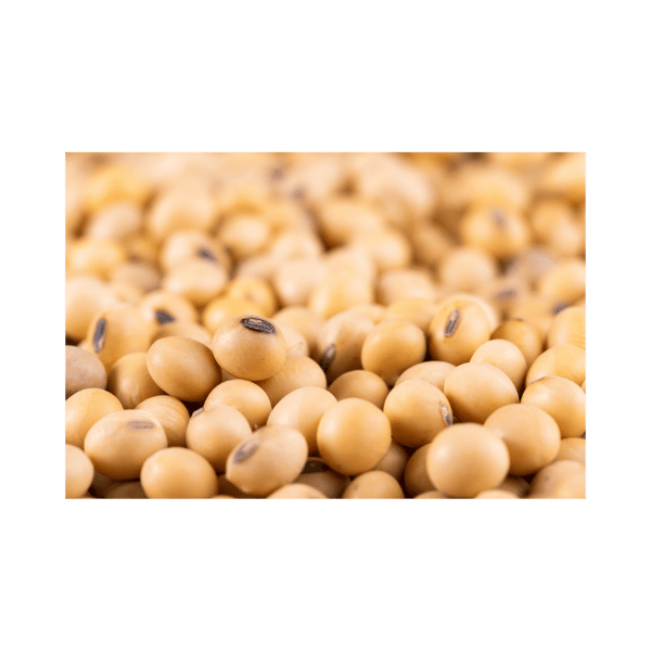 Are Soybeans Good for Estrogen?