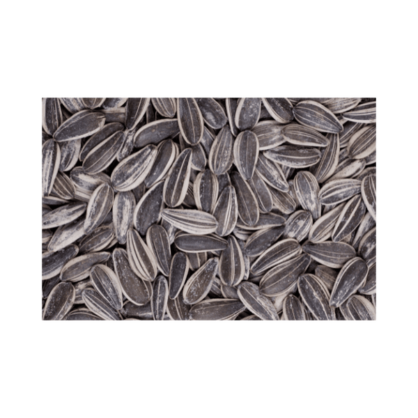 Are Sunflower Seeds Good for Estrogen?