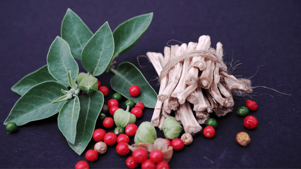 Ashwagandha Tea Benefits for Female Wellness: A Natural Way to Thrive