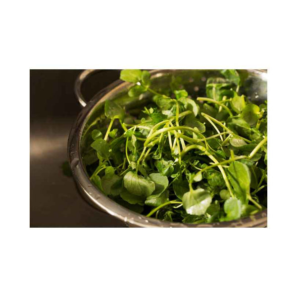 Is Watercress Good for Estrogen?