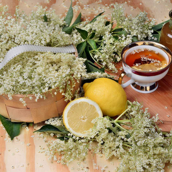 The benefits of Elderflower for your skin and hydration.