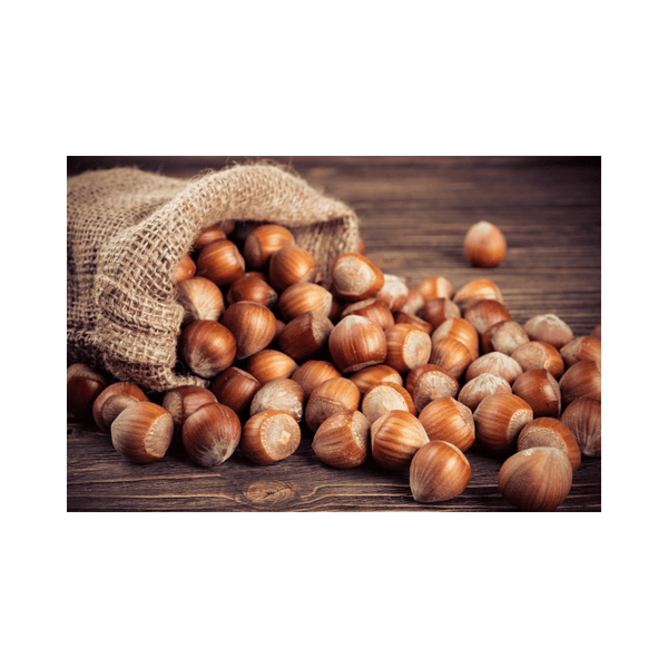 Are Hazelnuts Good for Endometriosis?