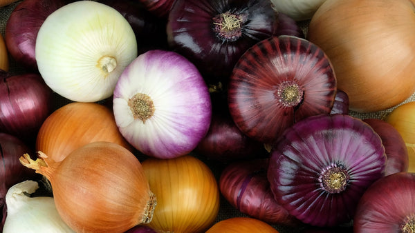 Is Onion Good for Perimenopause?