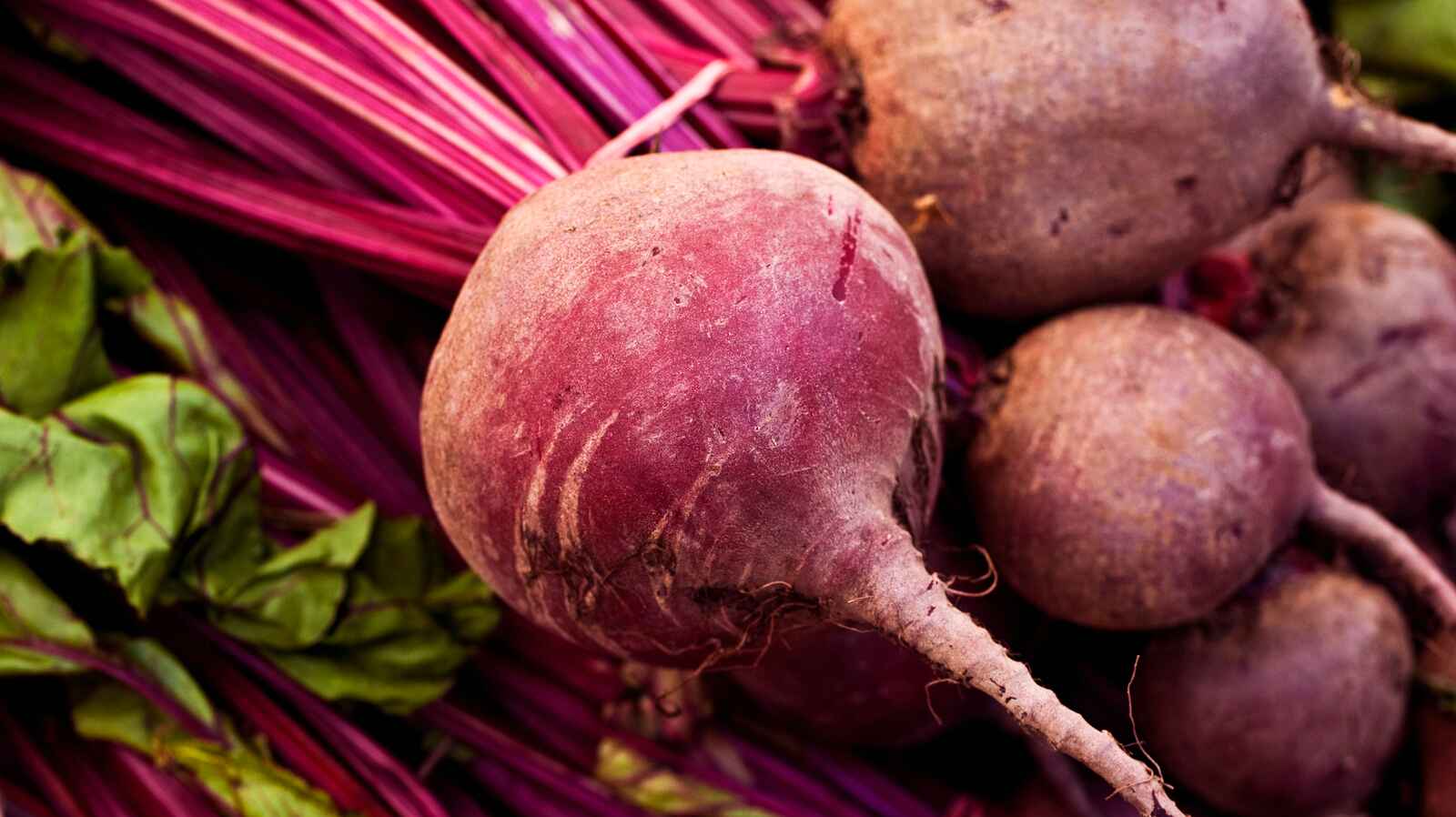 Is Beets Good for Perimenopause? Mother Cuppa Tea