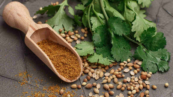 Is Coriander Good for Perimenopause?