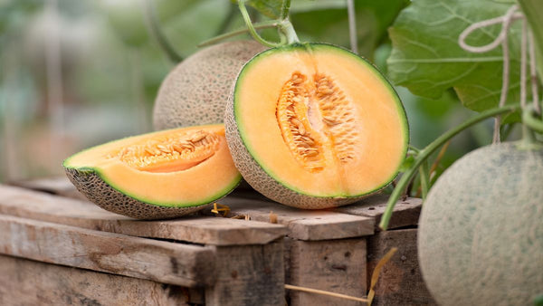 Is Cantaloupe Good for Perimenopause?