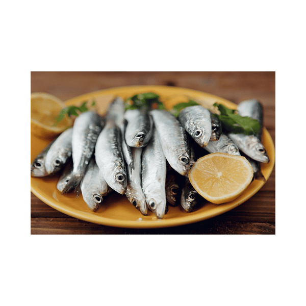 Are Sardines Good for Endometriosis?