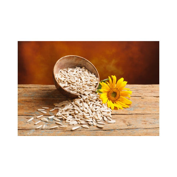 Are Sunflower Seeds Good for Endometriosis?