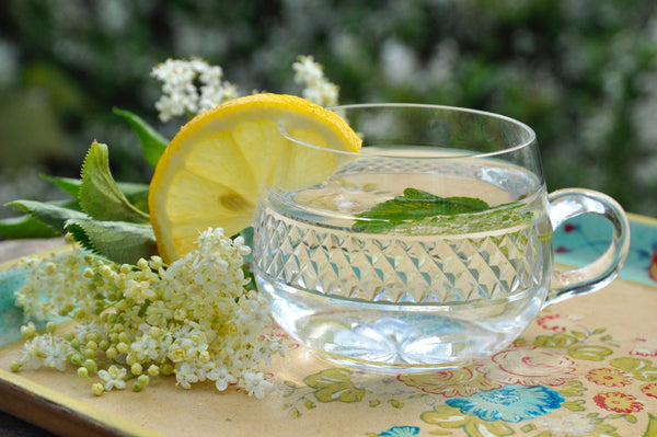 What are the Benefits of Elderflower?